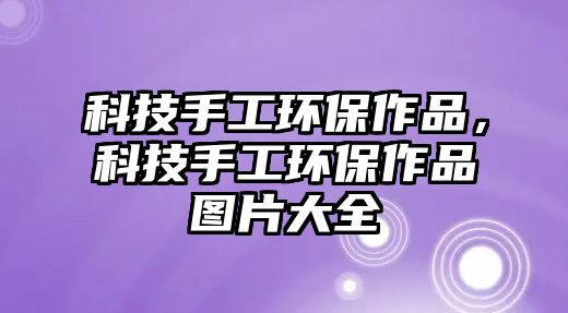 科技手工環(huán)保作品，科技手工環(huán)保作品圖片大全