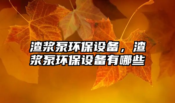 渣漿泵環(huán)保設(shè)備，渣漿泵環(huán)保設(shè)備有哪些