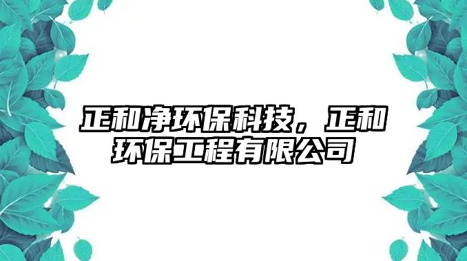 正和凈環(huán)保科技，正和環(huán)保工程有限公司