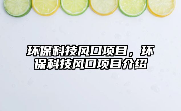 環(huán)?？萍硷L(fēng)口項(xiàng)目，環(huán)?？萍硷L(fēng)口項(xiàng)目介紹