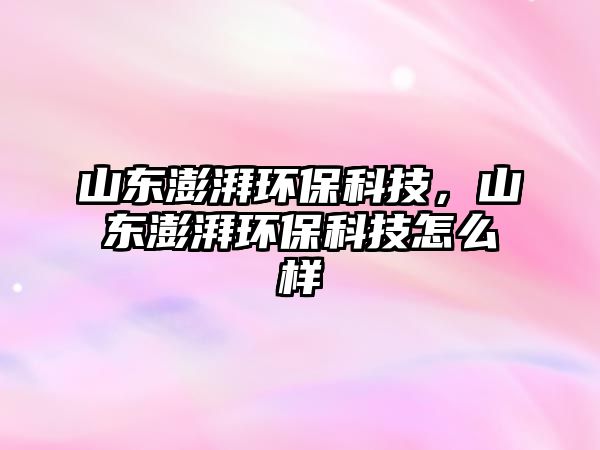 山東澎湃環(huán)?？萍迹綎|澎湃環(huán)?？萍荚趺礃?/> 
									</a>
									<h4 class=