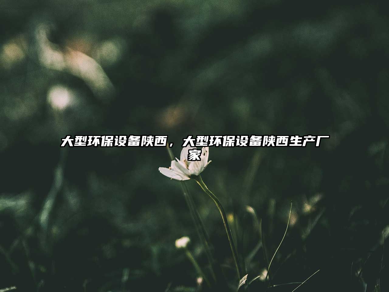 大型環(huán)保設(shè)備陜西，大型環(huán)保設(shè)備陜西生產(chǎn)廠家