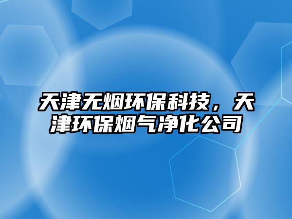 天津無煙環(huán)?？萍?，天津環(huán)保煙氣凈化公司