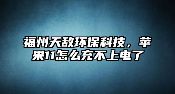 福州天敵環(huán)保科技，蘋果11怎么充不上電了