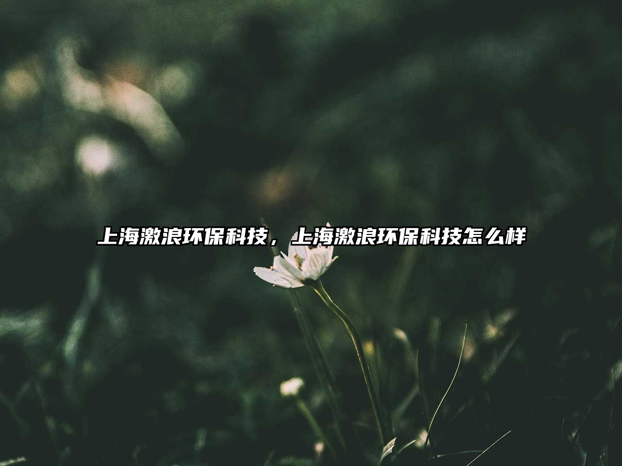 上海激浪環(huán)?？萍迹虾＜だ谁h(huán)?？萍荚趺礃? class=
