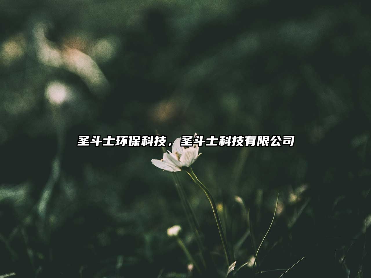 圣斗士環(huán)?？萍迹ザ肥靠萍加邢薰?/> 
									</a>
									<h4 class=