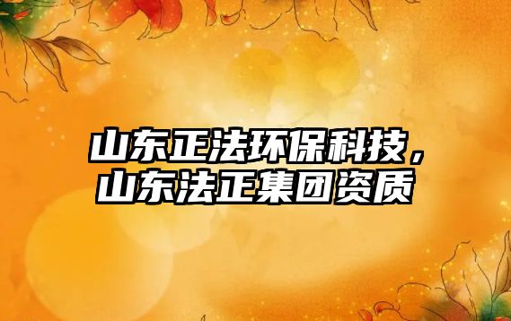 山東正法環(huán)?？萍迹綎|法正集團(tuán)資質(zhì)
