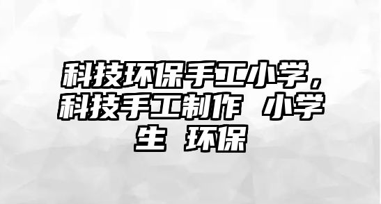 科技環(huán)保手工小學，科技手工制作 小學生 環(huán)保