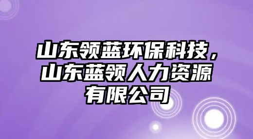 山東領藍環(huán)?？萍迹綎|藍領人力資源有限公司